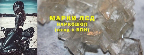 ГАЛЛЮЦИНОГЕННЫЕ ГРИБЫ Абаза