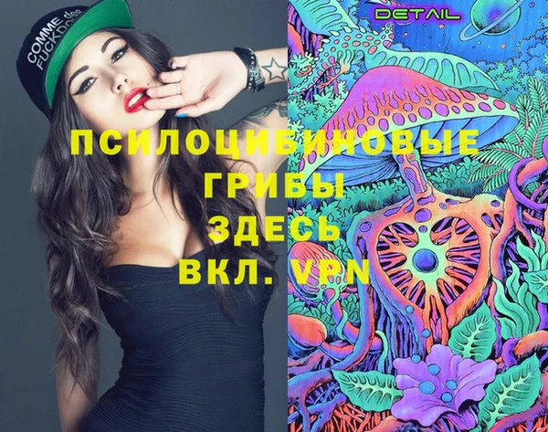 хмурый Абинск