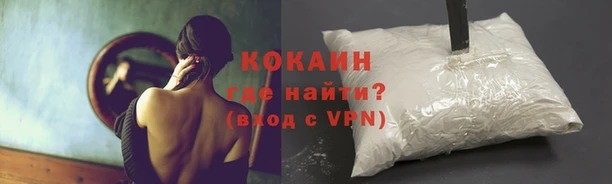 ГАЛЛЮЦИНОГЕННЫЕ ГРИБЫ Абаза
